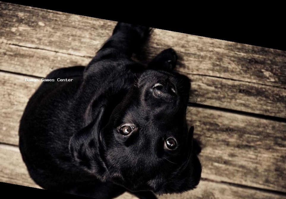 Warrior Spirit: Indian Samurai Legend - Main Cover Warrior Spirit: Indian Samurai Legend game cover featuring a warrior in traditional Indian samurai armor