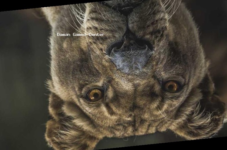 Warrior Spirit: Indian Samurai Legend - Community Meetup Warrior Spirit: Indian Samurai Legend community meetup in Mumbai