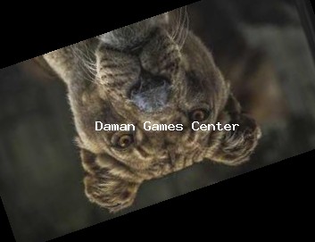 Mumbai Gaming Convention - Warrior Spirit Tournament Mumbai Gaming Convention