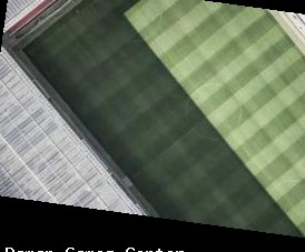 Delhi Cosplay Event - Warrior Spirit Characters Delhi Cosplay Event