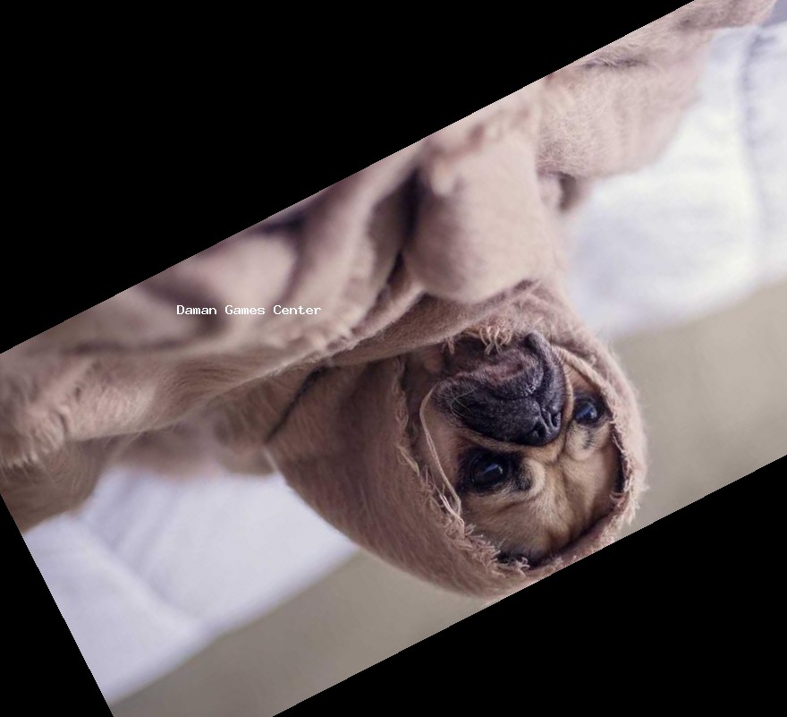 Warrior Spirit: Indian Samurai Legend - Gameplay Combat Warrior Spirit: Indian Samurai Legend gameplay showing the protagonist in combat